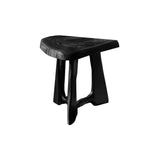 Terrafin Live Edge Solid Wood Side Table