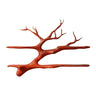 Thalmyr Handcrafted Solid Wood Floating Tree Bookshelf