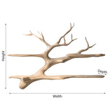 Thalmyr Handcrafted Solid Wood Floating Tree Bookshelf
