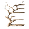 Thalorin Branch Tree Wine Rack Natural Oak - Timberustic Tree Wine Rack
