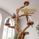 Thalorin Handcrafted Solid Wood Tree Branch Parrot Stand SPA215409 - Timberustic Tree Branch Parrot Stand
