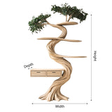 Thalorin Organic Modern Tree Bookshelf with Drawers - Timberustic Tree Bookshelf