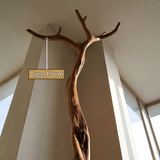 Thalorin Sculpted Solid Wood Tree Coat Rack - Timberustic Tree Coat Rack