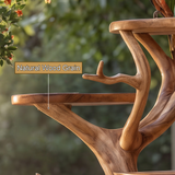Thalorwyn Handcrafted Tree Branch Parrot Stand SPA321651 - Timberustic Tree Branch Parrot Stand