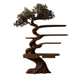 Thaloryn Sculpted Solid Wood Tree Bookshelf with Drawers Dark Walnut - Timberustic Tree Bookshelf