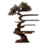 Thaloryn Sculpted Solid Wood Tree Bookshelf with Drawers Dark Walnut - Timberustic Tree Bookshelf