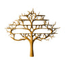 Thaloryx Sculpted Solid Wood Tree Bookshelf Teak - Timberustic Tree Bookshelf