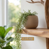 Theryn Sculpted Solid Wood Console Table with Shelves - Timberustic Console Table with Shelves