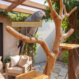 Thorncrest Handcrafted Tree Branch Parrot Stand SPA525376 - Timberustic Tree Branch Parrot Stand