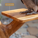Thorncrest Handcrafted Tree Branch Parrot Stand SPA525376 - Timberustic Tree Branch Parrot Stand