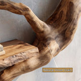 Tidebranch Handcrafted Solid Wood Floating Tree Bookshelf