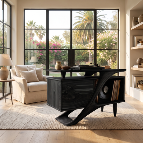 Ardellis Sculpted Solid Wood Record Player Stand Black - Timberustic Record Player Stand With Storage