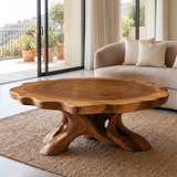 Roothaven Live Edge Solid Wood Coffee Table — Teak