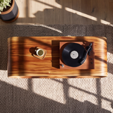 Caldova Sculpted Rounded Frame Handcrafted Record Player Stand With Storage - Timberustic Record Player Stand With Storage