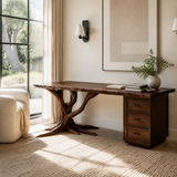 Dendrava Tree Base Sculpted Handcrafted Desk With Drawers by Timberustic — Dark Walnut finish