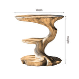 Norivane Branching Sculpted Handcrafted Record Player Stand With Storage by Timberustic — product dimensions