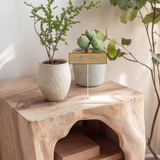 Sylovyn Sculpted Arch Handcrafted Nightstand by Timberustic — solid wood detail