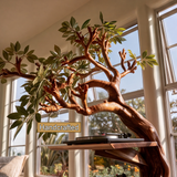 Torsylva Twisting Sculpted Tree Handcrafted Record Player Stand With Storage - Timberustic Record Player Stand With Storage