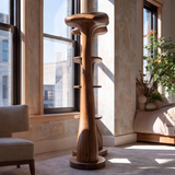 Canoris Sculpted Solid Wood Mushroom Bookshelf
