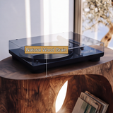Orivane Sculpted Solid Wood Record Player Stand