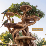Thaloryn Handcrafted Tree Branch Parrot Stand - Timberustic Tree Branch Parrot Stand