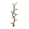 Vaelthorn Sculpted Solid Wood Tree Bookshelf Natural Oak - Timberustic Tree Bookshelf