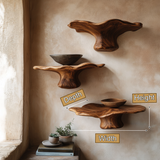 Valthera Sculpted Solid Wood Mushroom Floating Shelf SPA825832 - Timberustic Floating Shelf