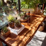 Velanor Live Edge Solid Wood Floating Shelf SPA152159 - Timberustic Floating Shelf