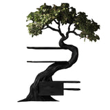 Velmora Organic Modern Tree Bookshelf with Drawers Black - Timberustic Tree Bookshelf