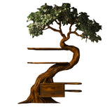 Velmora Organic Modern Tree Bookshelf with Drawers Brown - Timberustic Tree Bookshelf