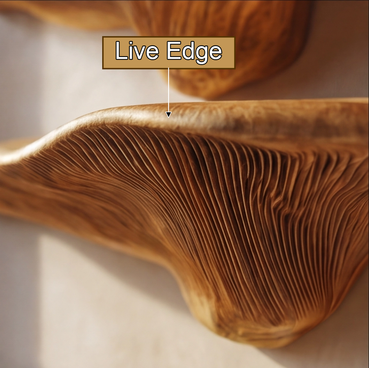 Velorien Live Edge Solid Wood Mushroom Floating Shelf SPA475679 - Timberustic Floating Shelf