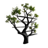 Verdalis Handcrafted Solid Wood Tree Bookshelf