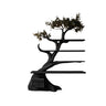 Virelith Sculpted Solid Wood Tree Bookshelf with Drawers Black - Timberustic Tree Bookshelf