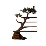 Virelith Sculpted Solid Wood Tree Bookshelf with Drawers Dark Walnut - Timberustic Tree Bookshelf