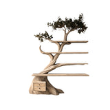 Virelith Sculpted Solid Wood Tree Bookshelf with Drawers Natural Oak - Timberustic Tree Bookshelf