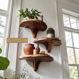 Virella Mushroom Solid Wood Floating Shelf SPA218397 - Timberustic Floating Shelf
