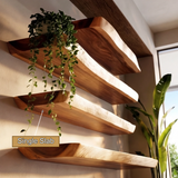 Virella Live Edge Solid Wood Floating Shelf SPA365792 - Timberustic Floating Shelf