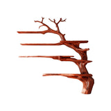 Wildwood Organic Solid Wood Tree Bookshelf