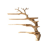 Wildwood Organic Solid Wood Tree Bookshelf