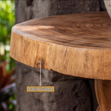 Zorvath Rootform Solid Wood Pedestal Stand - Timberustic Pedestal Stand