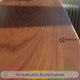 Elvryn Spire Solid Wood Bookshelf