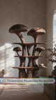 Mycelune Sculpted Solid Wood Mushroom Bookshelf