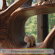 Hartwell Rise Handcrafted Solid Wood Deer Bookshelf